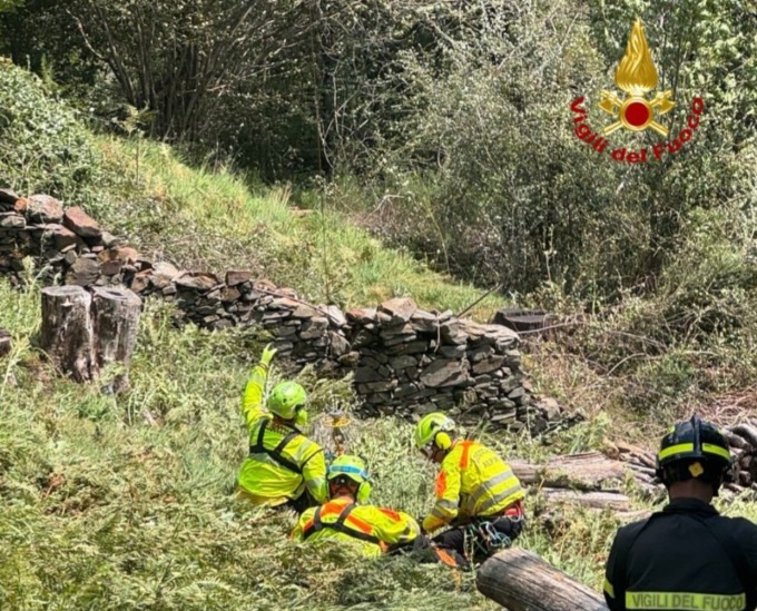 Austriaco ferito dall’albero che stava tagliando: gli è caduto addosso