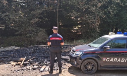 Imprenditore edile brucia rifiuti in un bosco a Nebbiuno e provoca incendio: denunciato