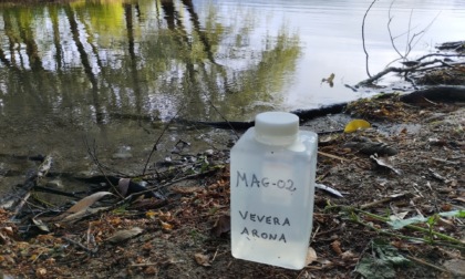 Divieto immediato di balneazione nella zona del lido di Arona