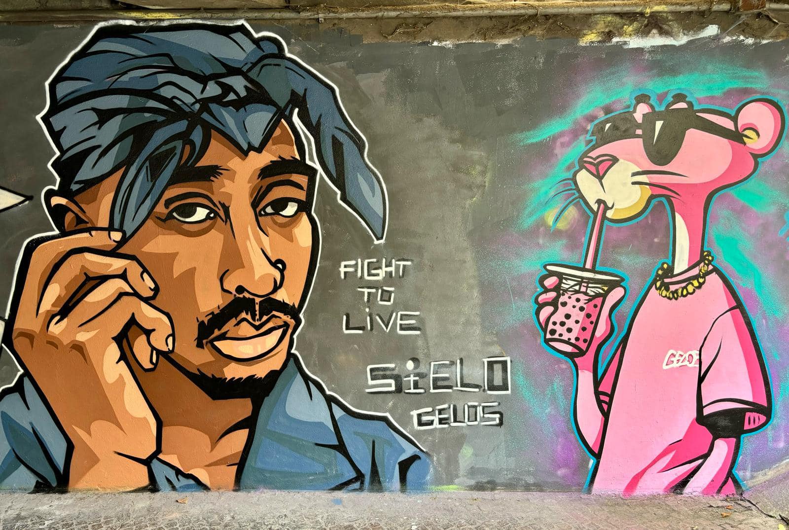 muri legali 7