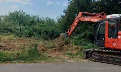 Bonificato il terreno infestato dall'ambrosia in via Pietro Generali