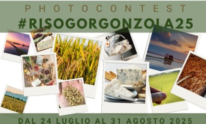 Al via il photocontest “Riso&Gorgonzola” per raccontare i sapori del territorio