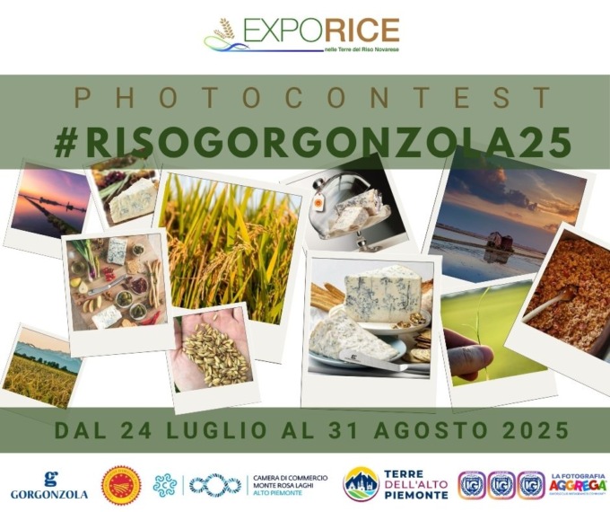 Al via il photocontest “Riso&Gorgonzola” per raccontare i sapori del territorio