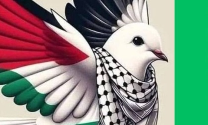 "Stop genocidio in Palestina": a Novara sit-in rumoroso