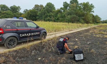 Bellinzago, gli incendi nel Parco del Ticino potrebbero essere dolosi: si indaga