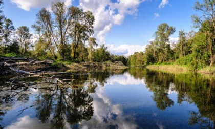 Ente Aree protette del Ticino e Lago Maggiore ottiene finanziamento da 500mila euro