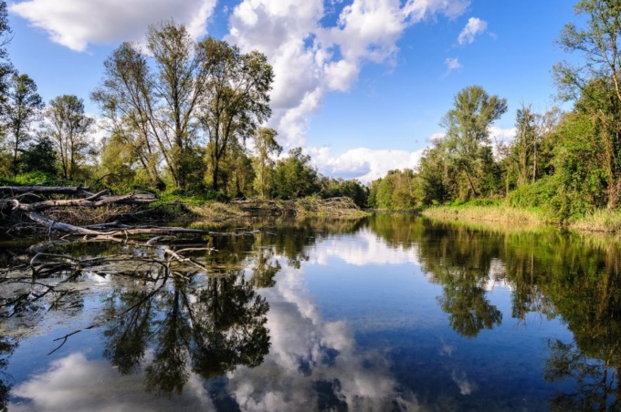 Ente Aree protette del Ticino e Lago Maggiore ottiene finanziamento da 500mila euro