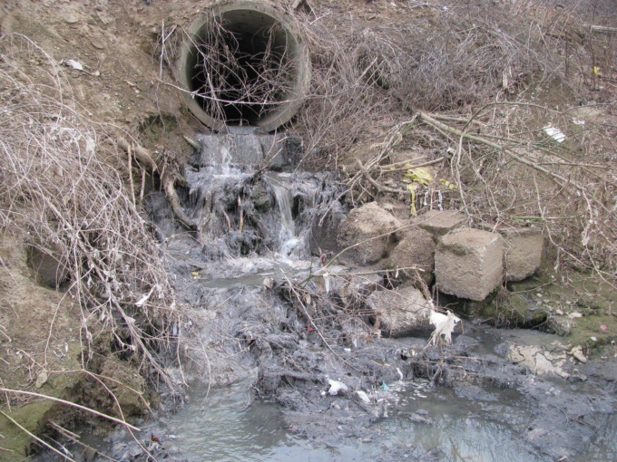 Agogna in sofferenza: la denuncia dell’Osservatorio Ambientale UTC