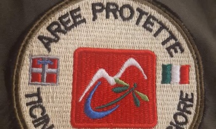 Nuovi bandi di concorso per il Parco Ticino Lago Maggiore