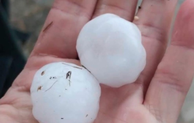 Violenta grandinata su alcuni comuni del Novarese: danni sul riso fino al 40%