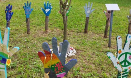 Il "Kaki tree project" passa anche da Divignano