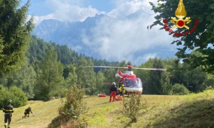 Vitello caduto in un dirupo: lo salvano i vigili del fuoco