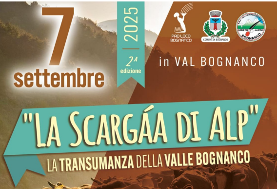 “La Scargàa di alp”: domenica 7 settembre in Val Bognanco la discesa del bestiame dall’alpeggio