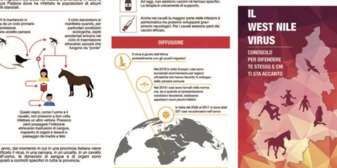 Allerta West Nile: l’ASL NO scrive ai sindaci, scattano le misure di prevenzione