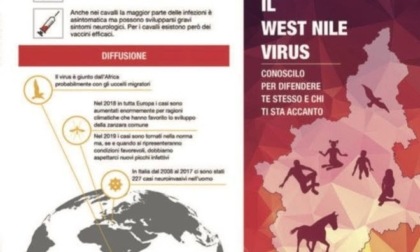 Allerta West Nile: l’ASL NO scrive ai sindaci, scattano le misure di prevenzione