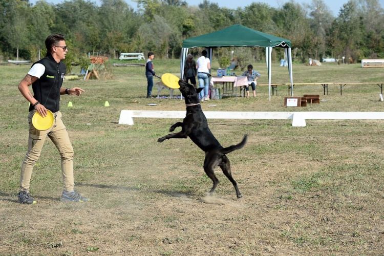 Una domenica di sport, inclusione e amore per gli animali allo Sporting Club Monterosa Novara