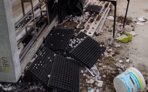 Vandalizzate le serre dell’Istituto agrario Cavallini di Lesa