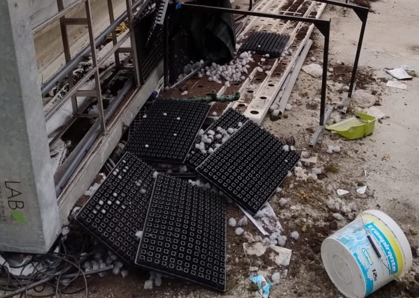 Vandalizzate le serre dell’Istituto agrario Cavallini di Lesa