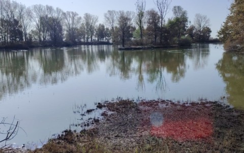Inaugurata la Riserva Naturale della Palude di Casalbeltrame dopo la riqualificazione