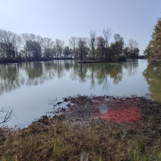 Inaugurata la Riserva Naturale della Palude di Casalbeltrame dopo la riqualificazione