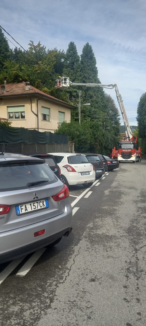 Maltempo in Piemonte: a Castelletto cade albero su una casa