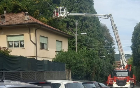 Maltempo in Piemonte: a Castelletto cade albero su una casa
