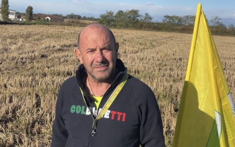 Coldiretti, Fabrizio Rizzotti nel Cda del “Distretto del cibo Novara e Laghi”