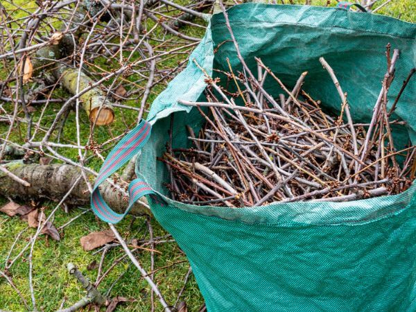 Piattaforma ecologica Arona: necessaria autocertificazione per il conferimento del verde domestico