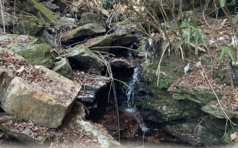 Avvio dei lavori di pulizia e asporto del materiale boschivo in alveo del Rio Ronco Pariano a Baveno