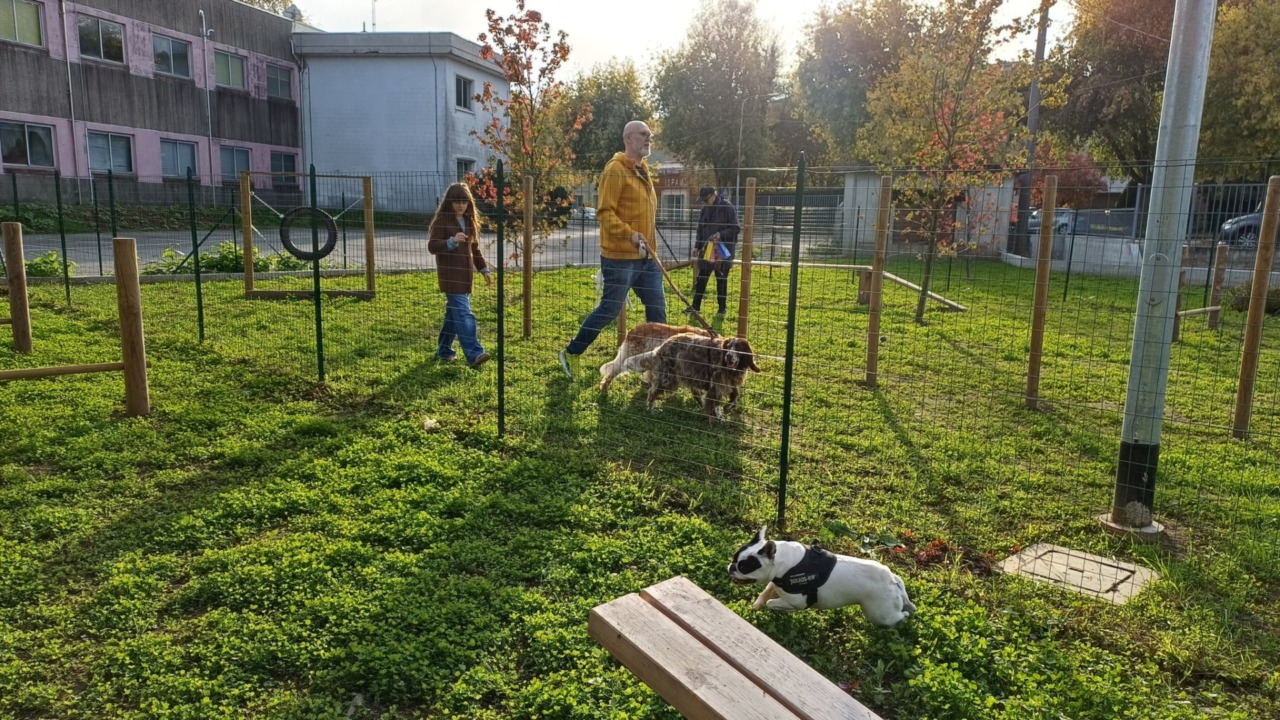 A Borgomanero una nuova area di sgambamento cani