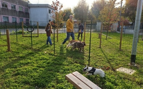 A Borgomanero una nuova area di sgambamento cani