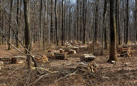 30 nuovi impianti termici a biomassa nelle valli del Piemonte