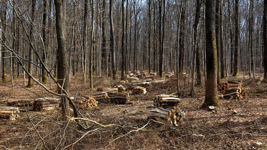 30 nuovi impianti termici a biomassa nelle valli del Piemonte