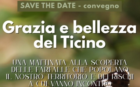 Nasce l’Atlante delle Farfalle del Parco del Ticino Piemontese