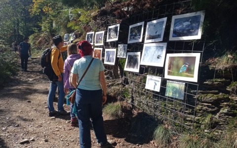 Kidsmeetalps a Fosseno: educazione ambientale tra arte e natura con LIPU Novara-Verbania