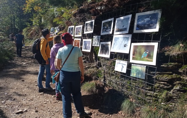 Kidsmeetalps a Fosseno: educazione ambientale tra arte e natura con LIPU Novara-Verbania