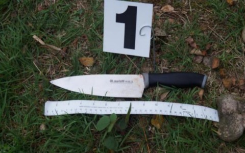 Tentato omicidio a Grignasco: i Carabinieri arrestano in tempi record il figlio della vittima