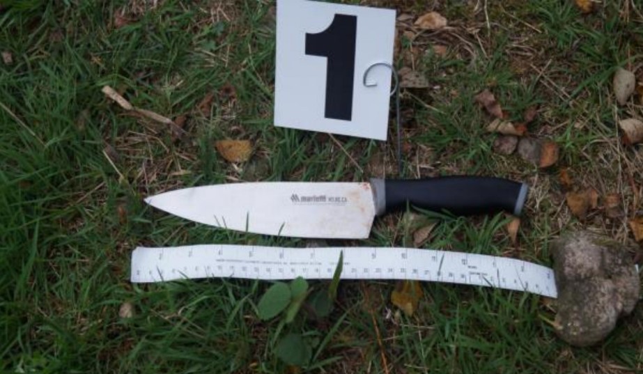 Tentato omicidio a Grignasco: i Carabinieri arrestano in tempi record il figlio della vittima
