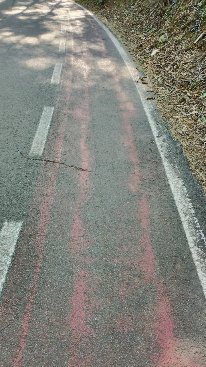 Consulta delle frazioni Arona, Polo Friz: “La vernice dell’inutile pista ciclabile è a tratti scomparsa”