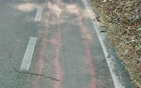 Consulta delle frazioni Arona, Polo Friz: “La vernice dell’inutile pista ciclabile è a tratti scomparsa”