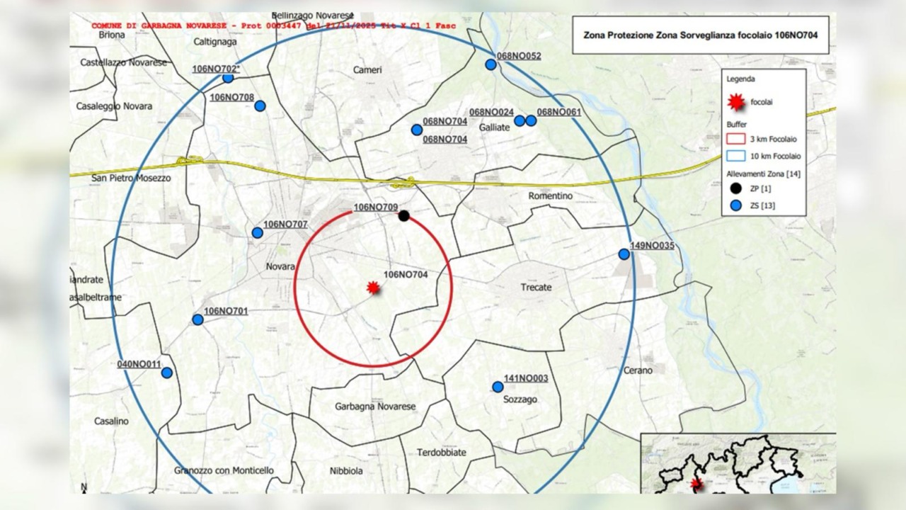 Focolaio di influenza aviaria a Novara: scattano le misure di sicurezza in diversi comuni