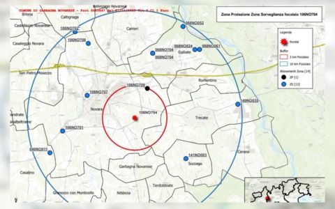 Focolaio di influenza aviaria a Novara: scattano le misure di sicurezza in diversi comuni