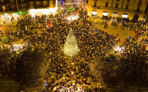 Cosa fare a Novara e Provincia: gli eventi del weekend 22-23 novembre 2025