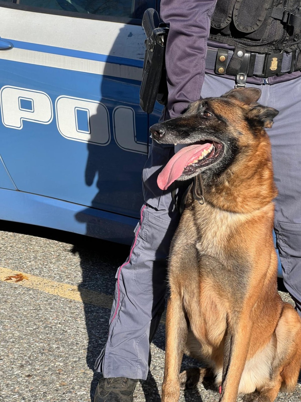 Controlli antidroga della Polizia di Stato negli istituti scolastici di Omegna