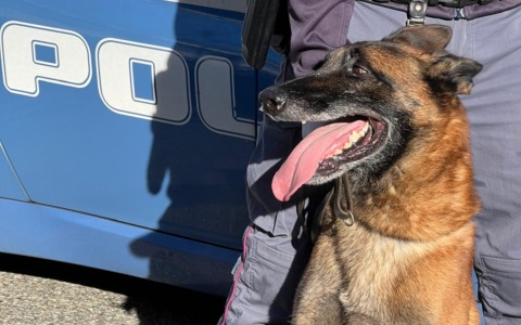 Controlli antidroga della Polizia di Stato negli istituti scolastici di Omegna