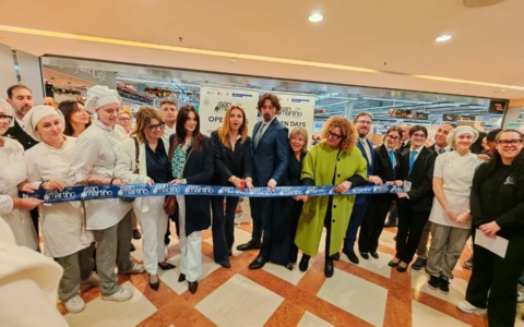 Oltre 1.300 studenti agli “Open Days” di Novara: tre giorni dedicati alla scelta della scuola superiore