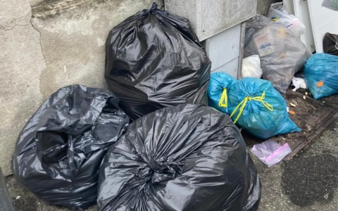 Novara, sanzionato un giovane per abbandono di rifiuti