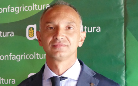 Confartigianato Piemonte: con il nuovo DL Bollette in 5 anni azzeramento degli incentivi con rischio chiusura per gli impianti a biogas e biomasse del territorio