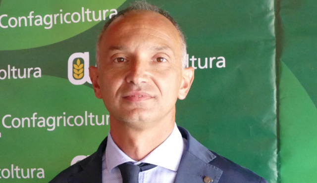 Quadri e impiegati agricoli in Piemonte: rinnovato il contratto regionale con nuove tutele per i lavoratori