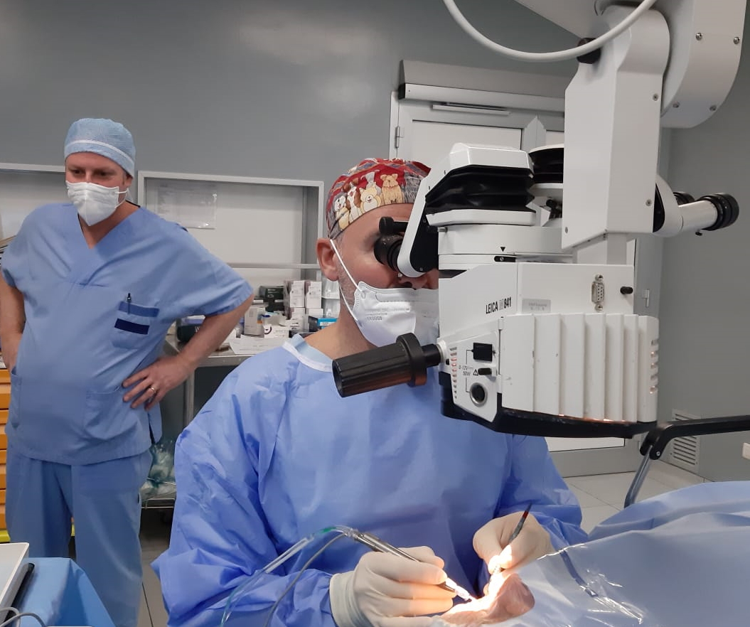 Habilita I Cedri: correzione definitiva dei difetti visivi grazie alla chirurgia con lenti ICL